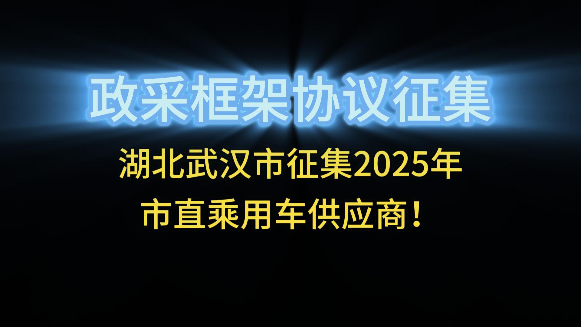 湖北武汉市征集2025年市直乘用车供应商！
